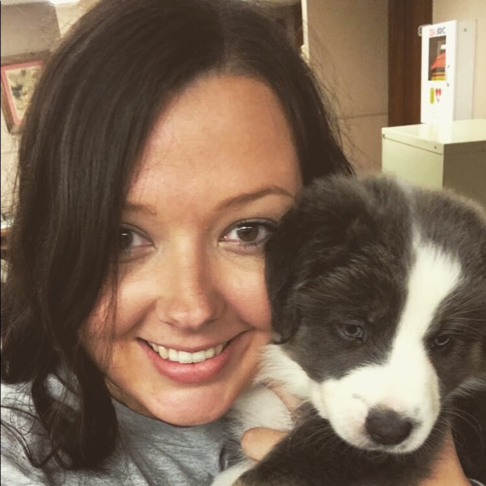 Meet your Posher, Bailey